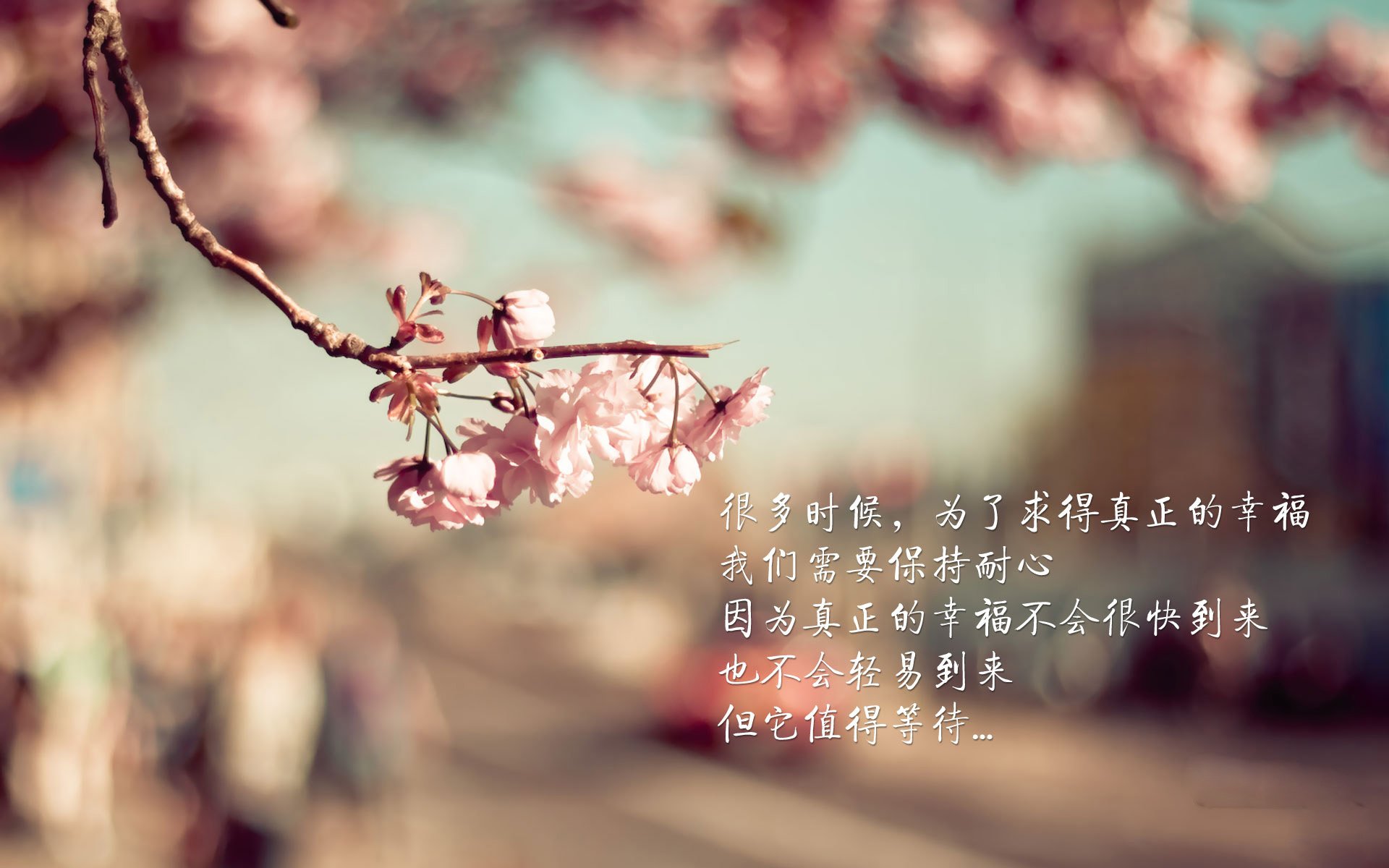 “未来足球之星：青少年足球比赛激烈争夺”，青少年足球大赛