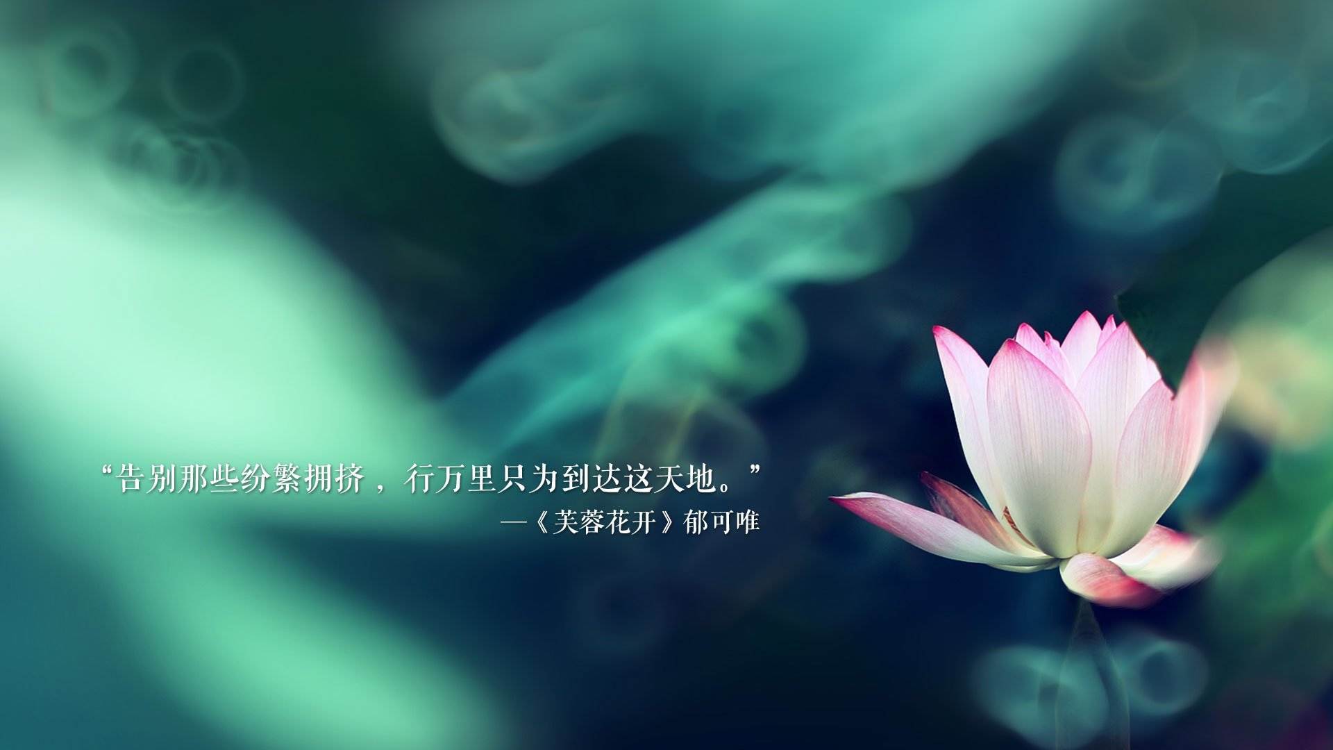 守望先锋 联赛赛程紧凑激烈，守望先锋联赛哔哩哔哩