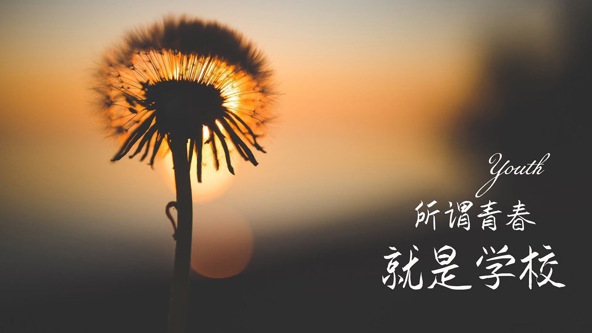 快船打造可移动训练场馆，应对密集赛程安排，快船模式