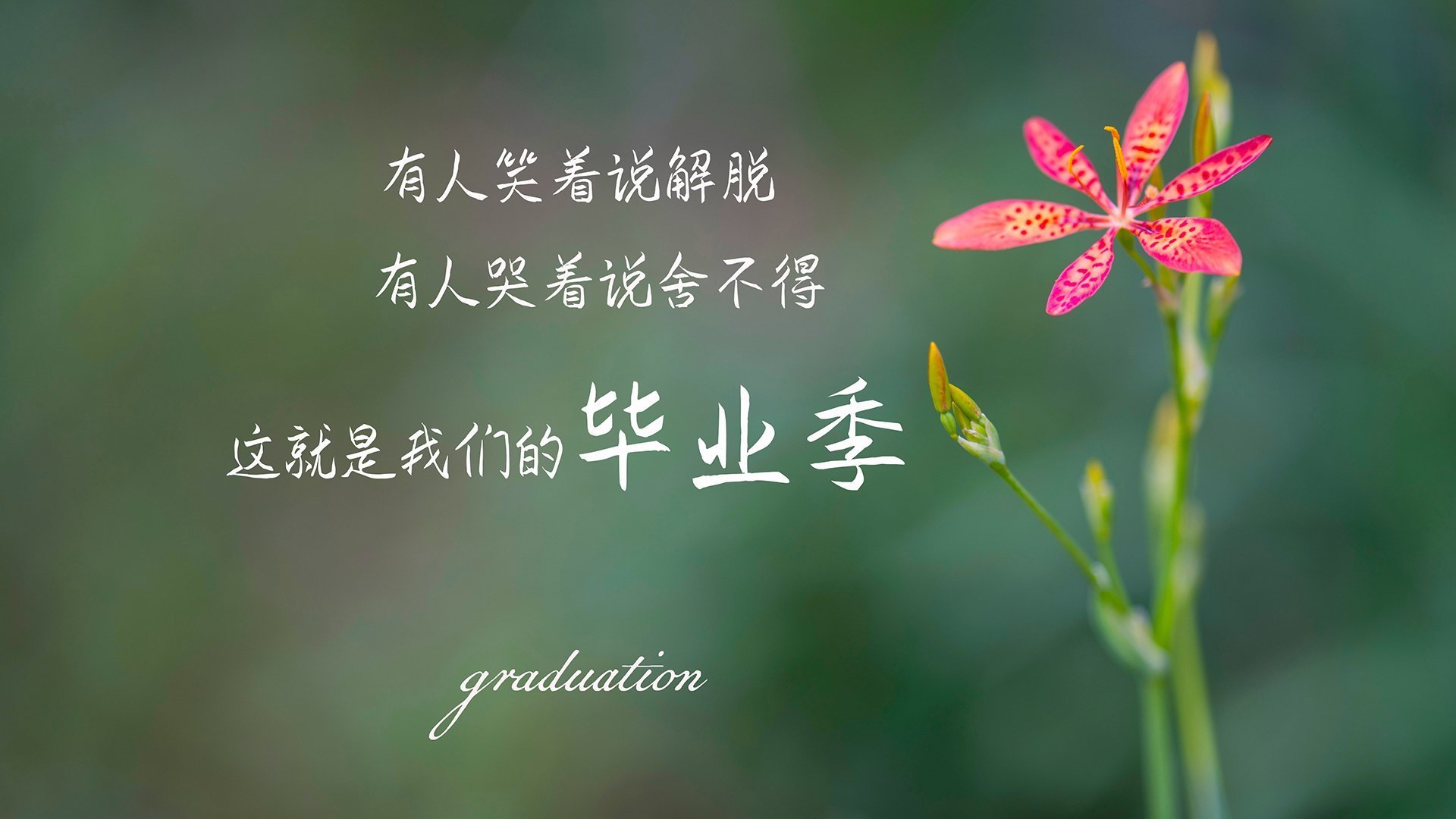 DOTA 2赛事数据统计发布，dota2 比赛数据