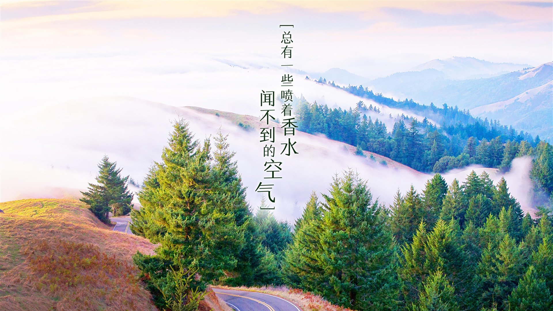 凯尔特人全员发力主场轻松取胜，凯尔特人队比赛视频