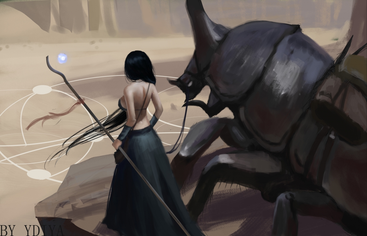 NBA最新赛季战况分析，nba新赛季战绩排行榜