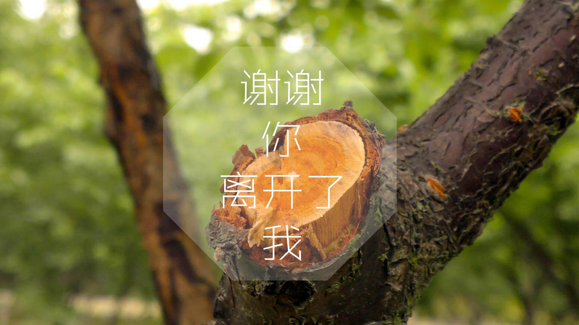 出发反应时间优于组内平均水平