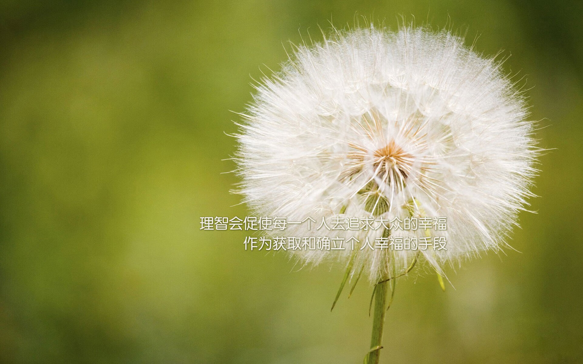 帕金斯表现引发观众热烈掌声，帕金斯表现引发观众热烈掌声的句子