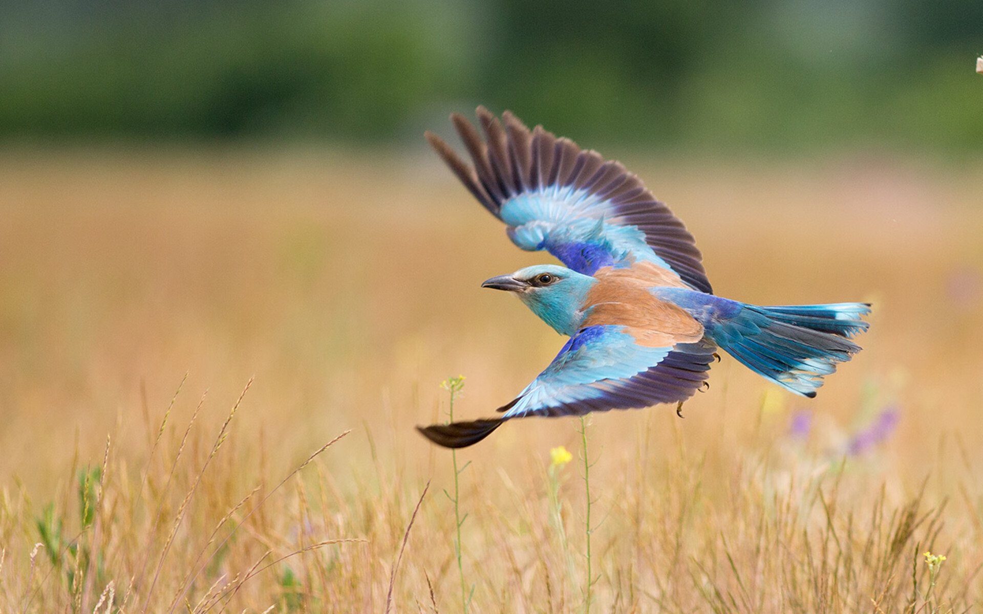 积分榜形势愈加胶着