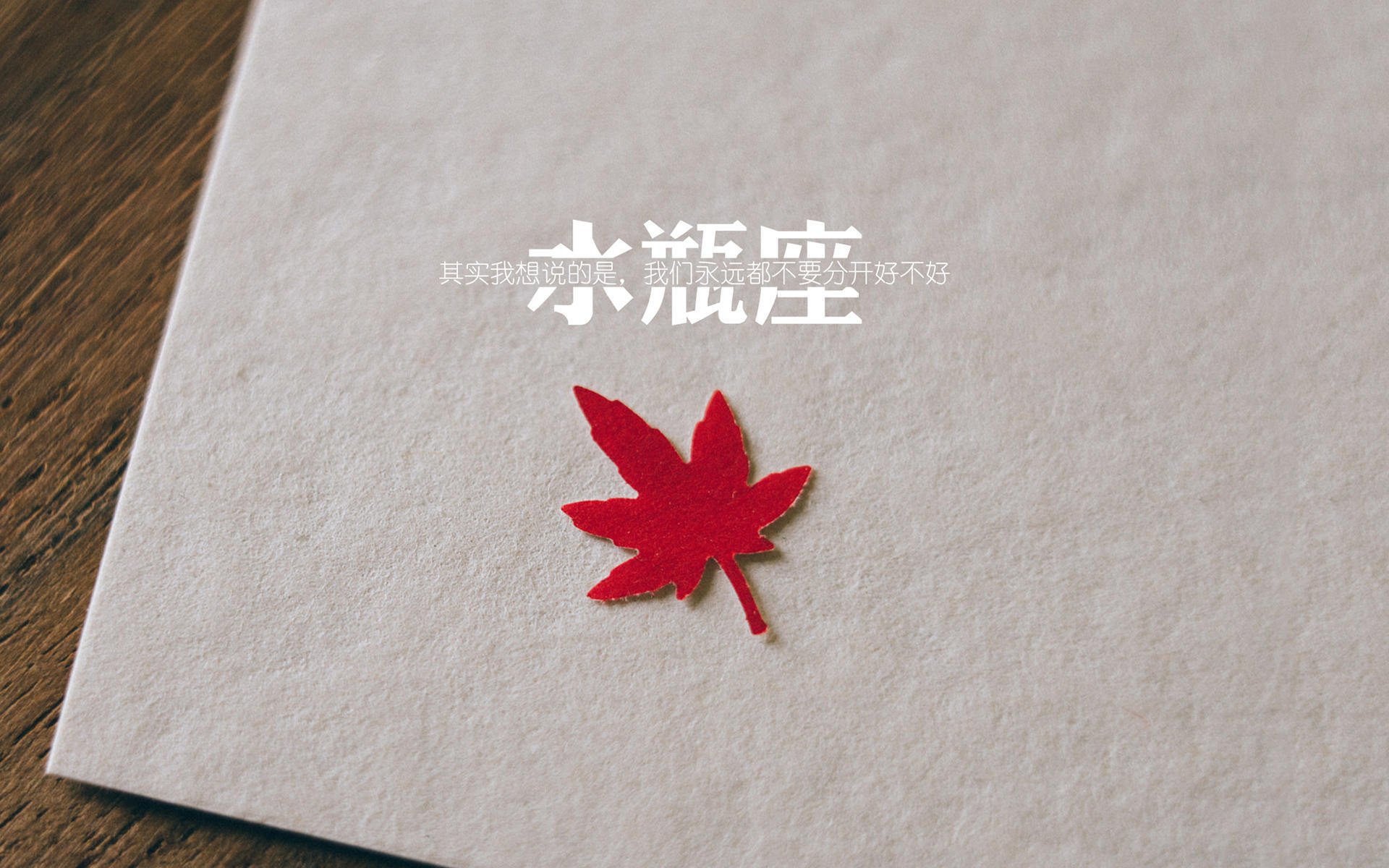 篮网赛前训练视频展示投篮技巧提升，篮网队投手