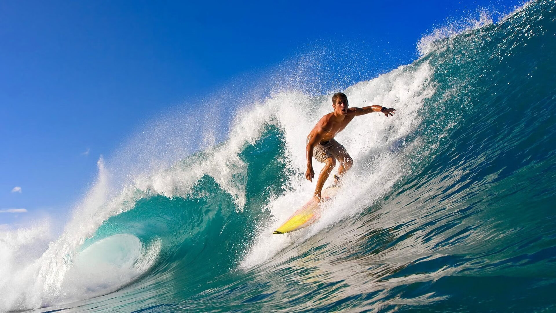 WRC车手专访：谈胜利的奥秘与未来计划，wrc车手的车技有多高